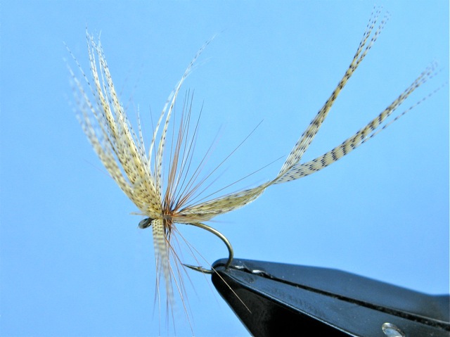 Darbee 2 Feather Fly