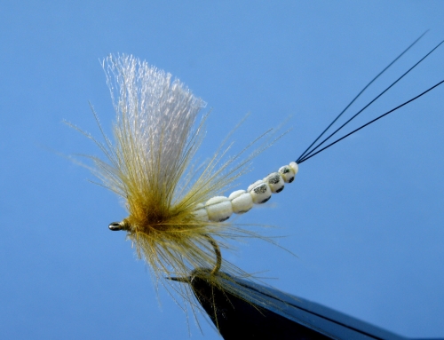 The Simple Mayfly